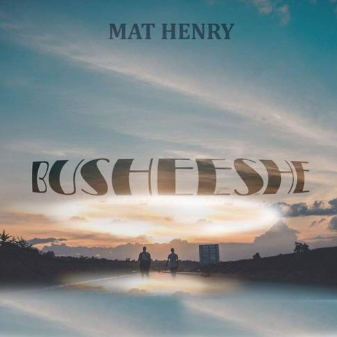 Busheeshe by Mat Henry 2020