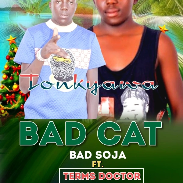 Tonkyawa by tearmz  dr X Bad cat bad soja official